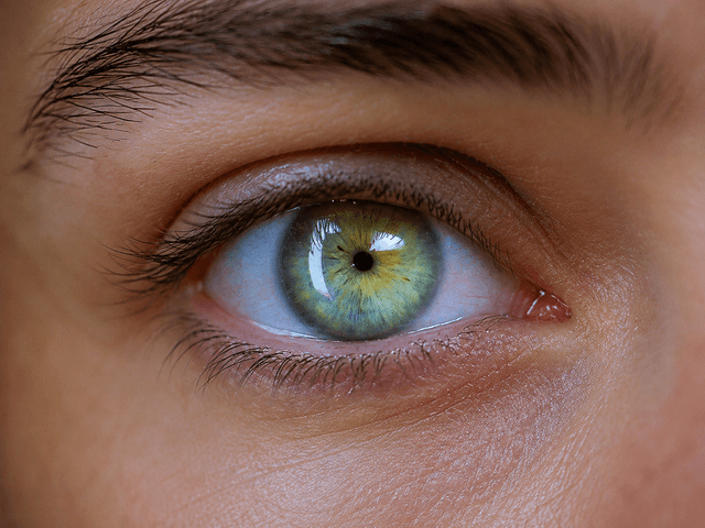Close facial analysis of a grayish-blue iris
