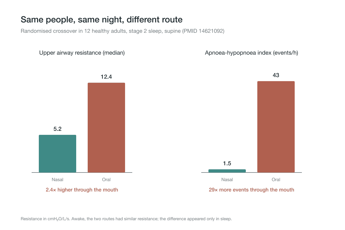 Bar charts showing airway resistance and breathing events in sleep much higher through the mouth than the nose