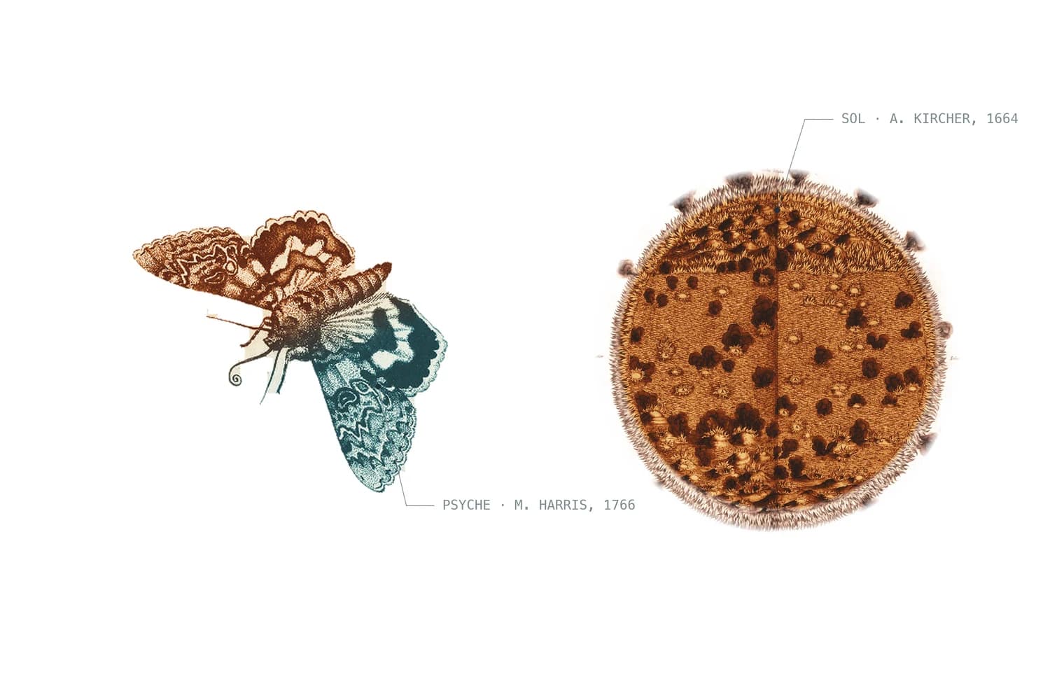A hand-tinted engraved moth in rust and teal flying toward an engraved sun, labelled Psyche, Harris 1766, and Sol, Kircher 1664