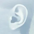 Ear