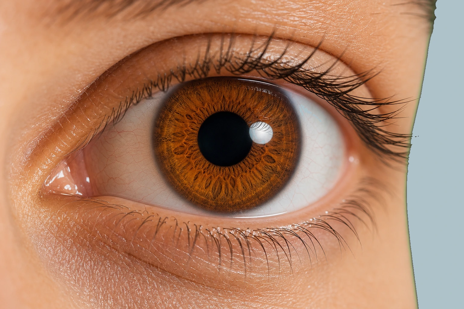 Amber brown eye iridology analysis preview