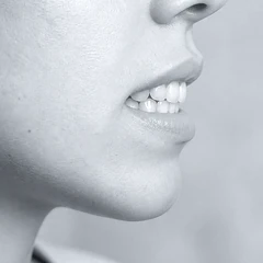 Jaw & Bite