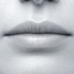 Lip Seal